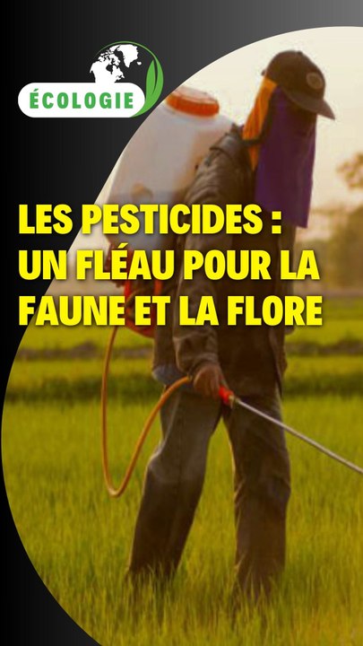 Les pesticides : Un fléau pour la faune et la flore
