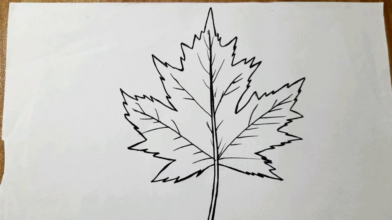 How To Draw A Leaf Step By Step Leaf Drawing Easy - video Dailymotion