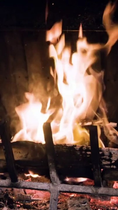 Wellness Essentials Prioritizing Self-Care