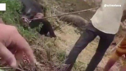 सुलतानपुर: इन ग्रामीणों ने जब खुद की जान डाल दी जोखिम में...जानिए क्या थी वजह