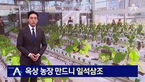 옥상 농장 만드니 일석삼조…남은 열로 파프리카 재배