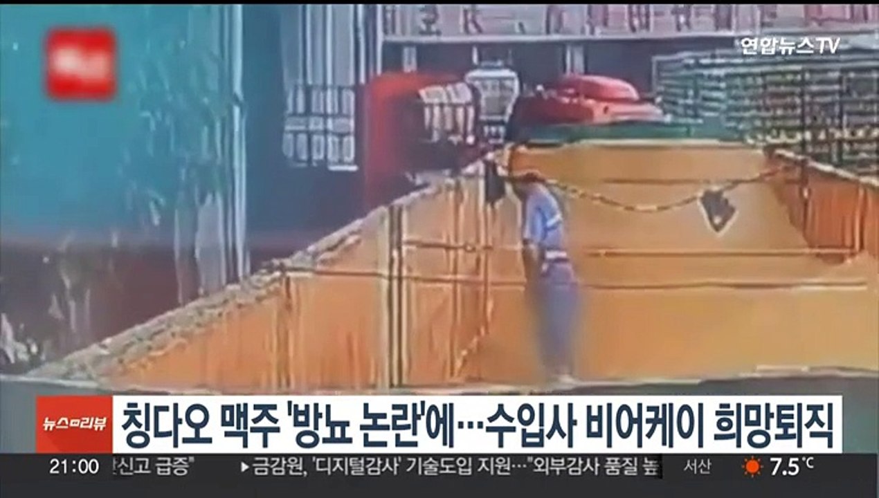 칭다오 맥주 '방뇨 논란'에…수입사 비어케이 희망퇴직