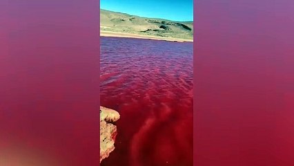 Río Nilo teñido de rojo