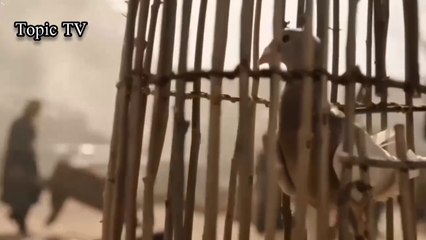 Alp Arslan - Season 1 Episode 2 [Urdu Dubbed] Topic TV