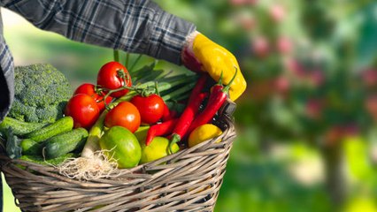 5 Verduras Antiinflamatorias Para Añadir A Tu Dieta