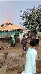 पटाखों से लगी आग, चारा जला