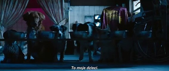 Dogman Bande-annonce (PL)