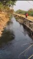 पूजा-अर्चना के बाद छोड़ा मोरेल बांध की नहरों में छोड़ा पानी