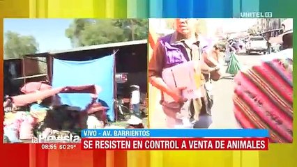 Comerciantes se resistían al decomiso de los animales que prentendían vender