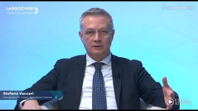 Riforme, Vaccari (PD): Premierato non fa bene all'Italia