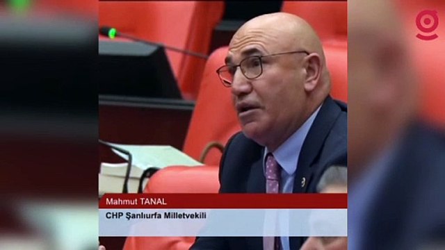Sırrı Süreyya Önder'den Mahmut Tanal'a güldüren yanıt: Meclis'te kahkaha tufanı kopardı