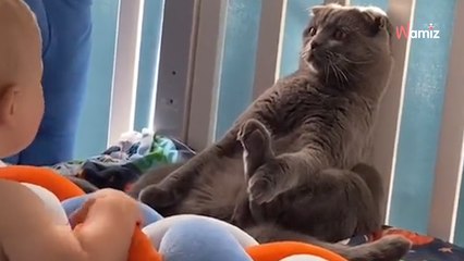 Gatto diventa una "statua" quando passa il bebè: un'interpretazione da Oscar! (Video)