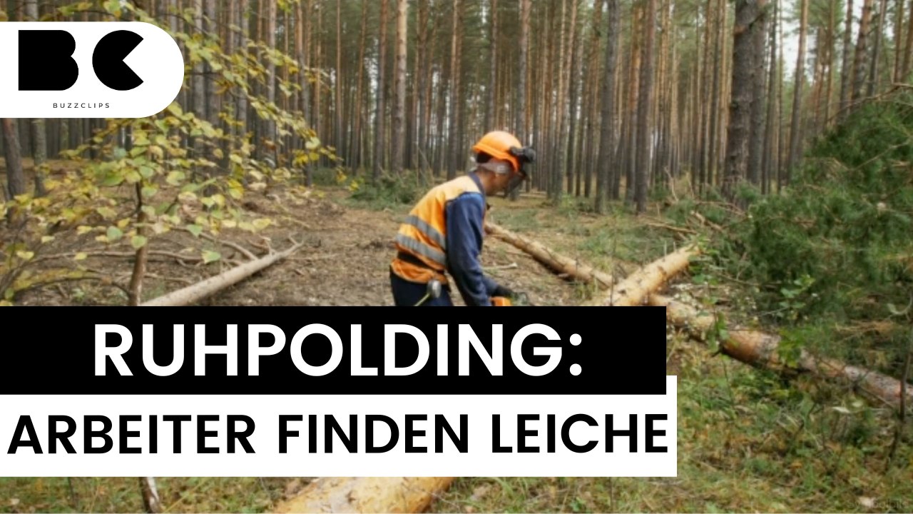 Waldarbeiter entdecken leiche von vermisstem wanderer