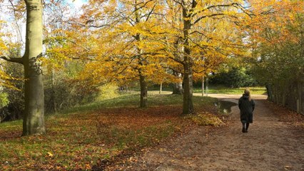 The best winter walks in London