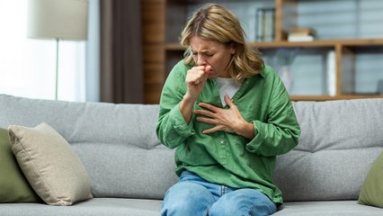 bd-plantas-pa-la-tos-151123