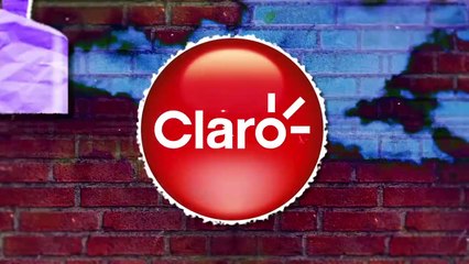 Ricardo Amado 15/11/2023