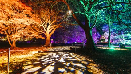 Christmas whats on guide for Newcastle