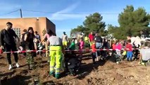 JT, forêt de Castillon : opération reboisement cette semaine