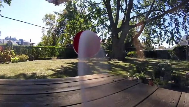 - -Experminent showing the effect of smoking a pack of tobacco cigarettes each day for 30 days in a row (600 cigarettes) https-__t.co_iXBzt00lli- _ X