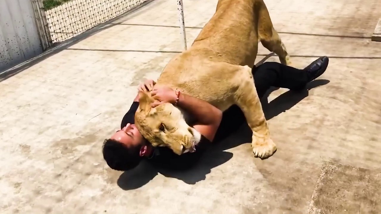 Animals Reunited With Owners After Years