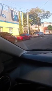 Unidos por el amor y el crimen: pareja tras las rejas señaladas de cometer asaltos