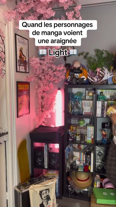 Les perso de manga quand ils voient une araignée