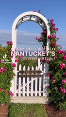 Rose Covered Cottages