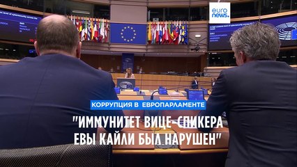 Адвокаты Евы Кайли: "Иммунитет вице-спикера Европарламента был нарушен"