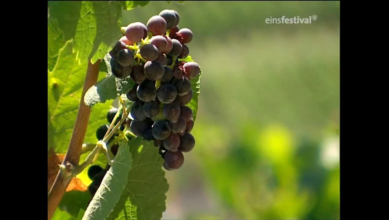 Die großen Kriminalfälle - Die Schlecker Entführer