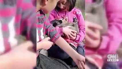 Kimsesiz köpeğe ikizler sahip çıktı… Yavru köpeği ninniyle uyuttular