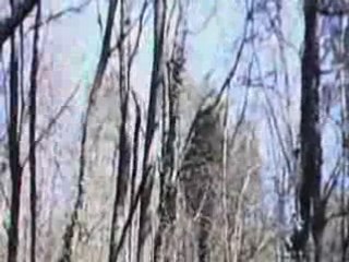 BOGY 2008 2ème partie