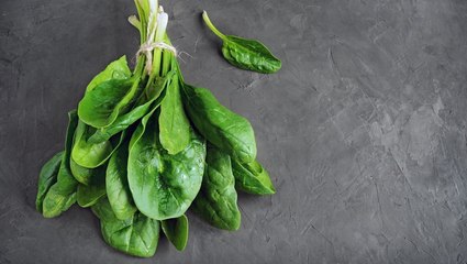 10 Tips for Growing Spinach Indoors Any Time of Year