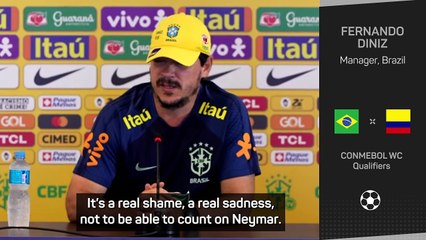 Replacing Neymar will be a team effort for Brazil - Diniz