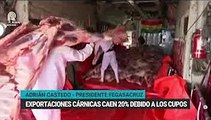 Productores piden liberar cupos de exportación de carne y el Gobierno lo descarta