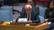 مندوب فلسطين بالأمم المتحدة: إسرائيل لا تستجيب لنداءات وقف النار في غزة