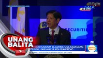 PBBM, ibinida ang MIF sa PHL Economic Briefing sa APEC Summit | UB