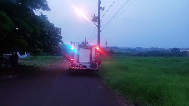 Jararaca em porta de residência é capturada pelo Corpo de Bombeiros no Esmeralda