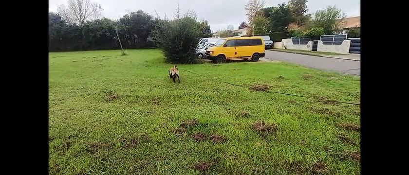 pyxis le 28 octobre 23