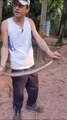 Homem pega captura cobra cascavel na mão em Goioerê