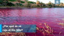 Río Nilo se tiñe de rojo en Egipto y causa conmoción en redes sociales