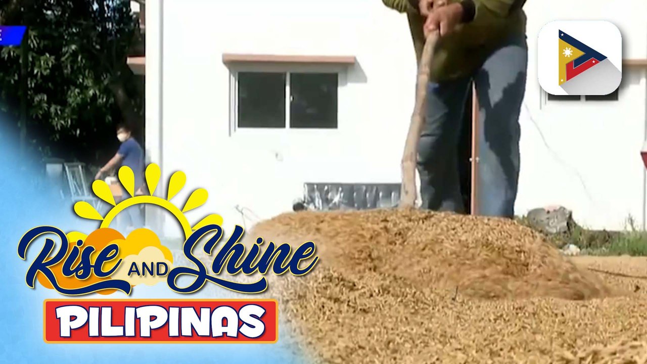DA, tiniyak ang sapat na suplay ng abot-kayang bigas sa bansa