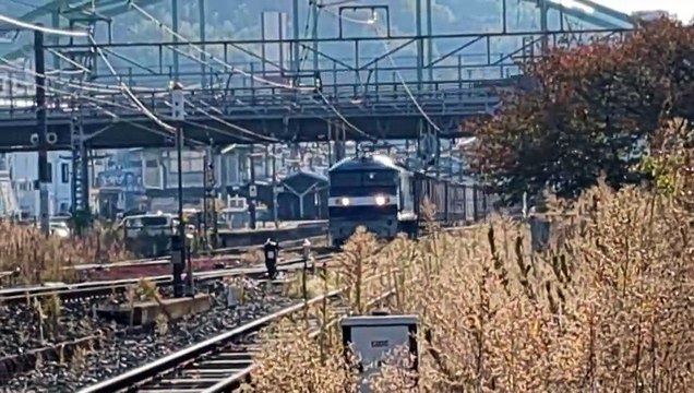 PXL_20231101_083105 1091列車・1091レ