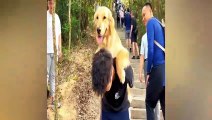 New Funny Videos 2023  Cutest Cats and Dogs
