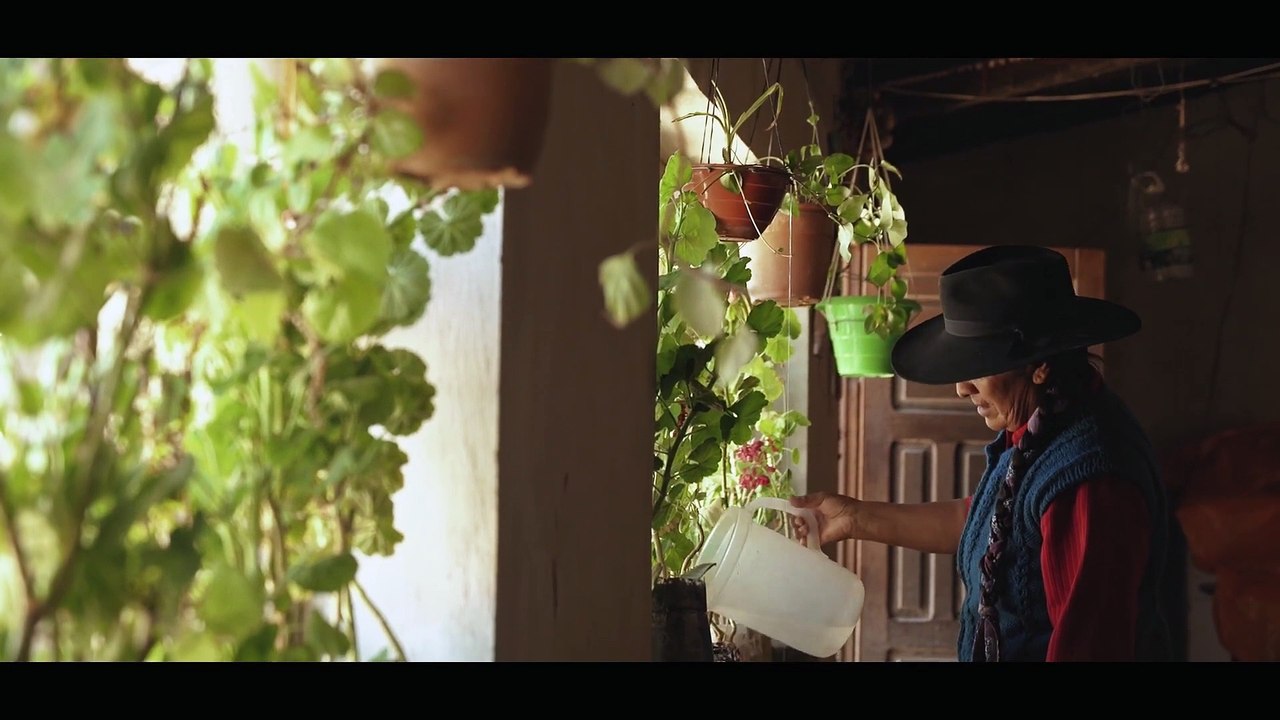 Mujer perseverante - Trailer