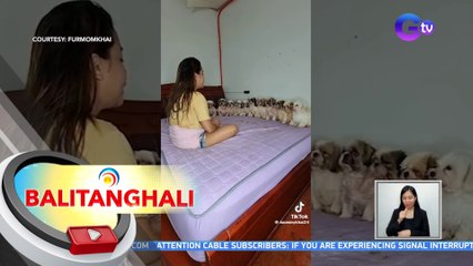 12 fur babies na nagdarasal umano bago kumain ng treats, kinaaliwan online | BT