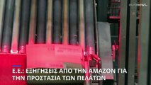 Προθεσμία της ΕΕ στην Amazon για να ευθυγραμμιστεί με τους κανόνες προστασίας των πελατών