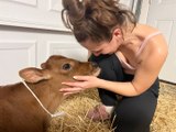 Woman adopts 90lb cow from petting zoo