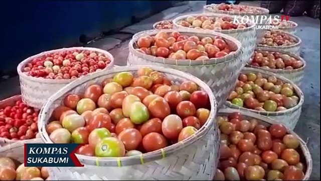 Faktor Cuaca, Harga Sayur Melambung Tinggi Berdampak Pada Daya Beli Menurun