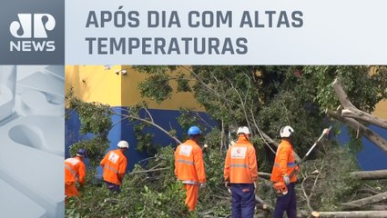 Descargar video: Fortes chuvas causam queda de árvores e destroem rede elétrica em São Paulo