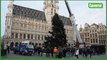 Installation du sapin de Noël sur la Grand-Place de Bruxelles